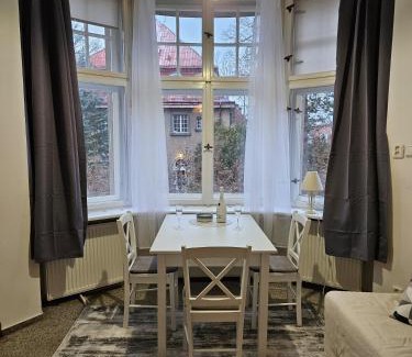 Liberec Apartment | Apartment Vila Husova