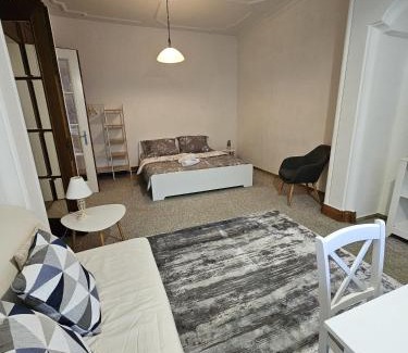 Liberec Apartment | Apartment Vila Husova