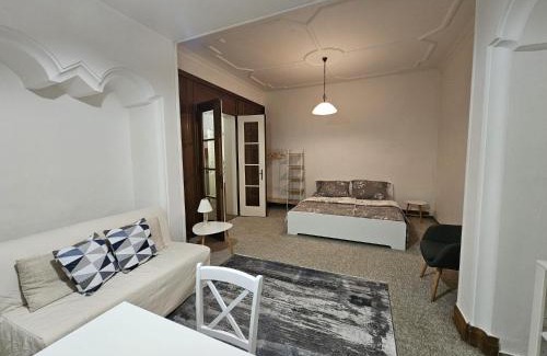 Liberec Apartment | Apartment Vila Husova