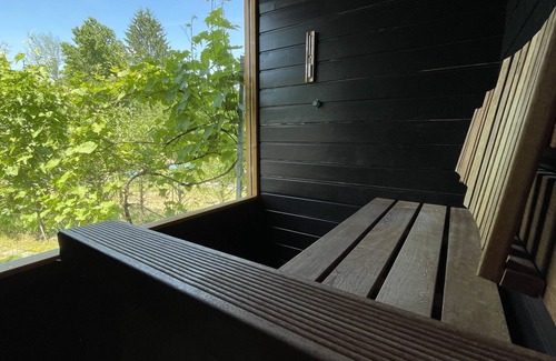 Fischbach bei Dahn Apartment | Apartment WANDERSCHUH & sauna-walking distance to hiking trails&shopping/restaurants