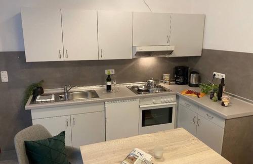Neualbenreuth Apartment | Apartment with combined living room and bedroom