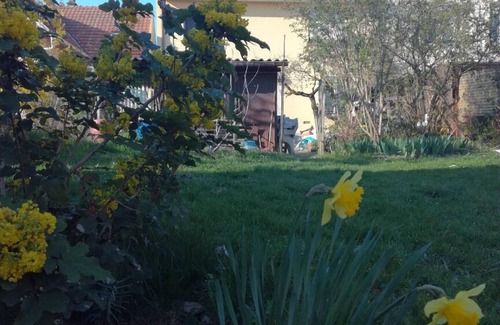 Saint Joseph/Mittelharth Apartment | Apartment with garden in Colmar