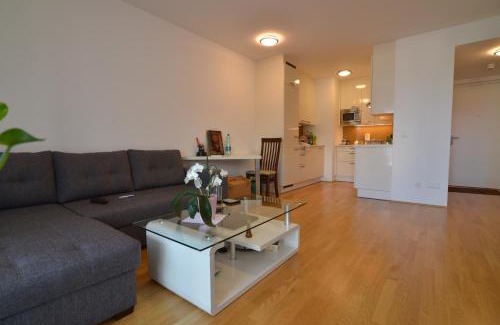 Kaisermuhlen Apartment | Apartment with parking on premise