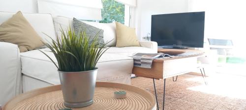 Masnou Apartment | Apartment with pool near the beach and Barcelona by train