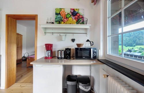 St. Blasien Apartment | Apartment 'Wohnung 1 - Familienappartement' with Balcony and Wi-Fi