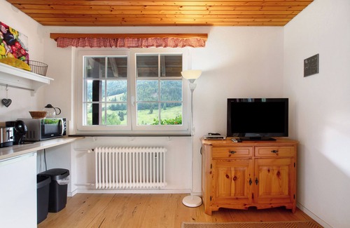 St. Blasien Apartment | Apartment 'Wohnung 1 - Familienappartement' with Balcony and Wi-Fi