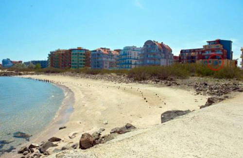 Pomorie Apartment | Apartments Alerina