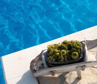Ruzic Villa | APARTMENTS ANA