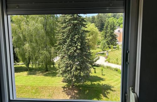 Donje Polje Apartment | Apartments Bokan