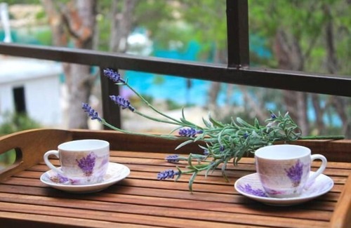 Cove Osibova (Milna) Apartment | Apartments Brac Osibova - Two Bedroom Apartment with Patio and Sea View (A2) - (ST)