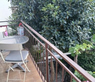 Babin do Apartment | Apartments Budva Center