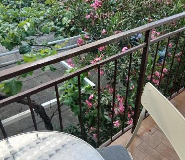 Babin do Apartment | Apartments Budva Center