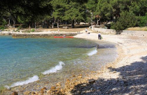 Artatore Apartment | Apartments by the sea Artatore, Losinj - 7952