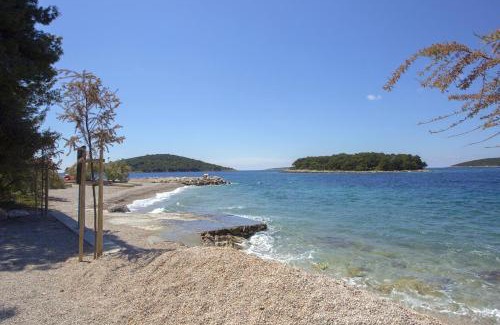 Maslinica Apartment | Apartments by the sea Maslinica, Solta - 14748