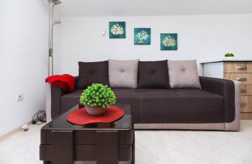 Bijela Apartment | Apartments Dragon