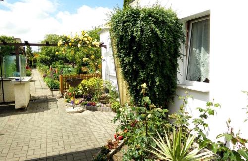 Franken Mitte Apartment | Apartments Greifswalder Chaussee