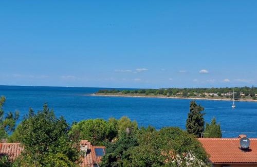 Dajla Apartment | Apartments Henc