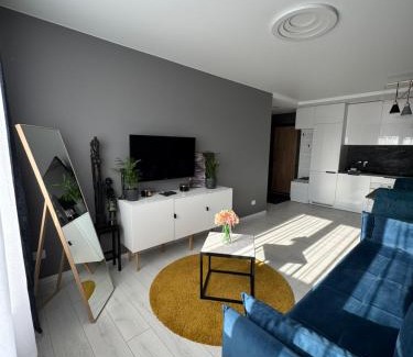 Siauliai City Center Apartment | Apartments in Šiauliai city center