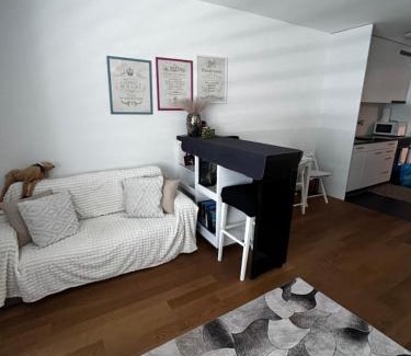 Breitenrain-Lorraine Apartment | Apartments in Bern - Green Relax