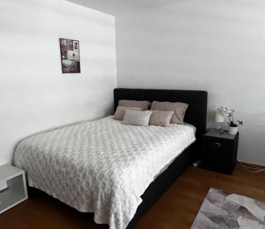 Breitenrain-Lorraine Apartment | Apartments in Bern - Green Relax