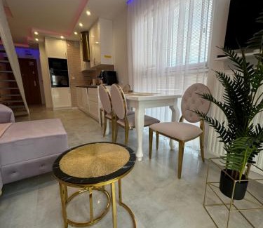 Zamosc Apartment | Apartments MERLIN -ANTRESOLA przy Starówce