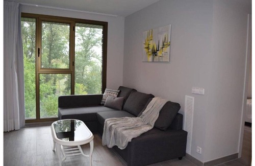 Ainsa Apartment | Apartments Ordesa Ainsa - Caliza