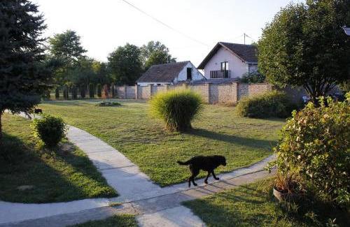 Osijek Apartment | Apartments Osijek by the River