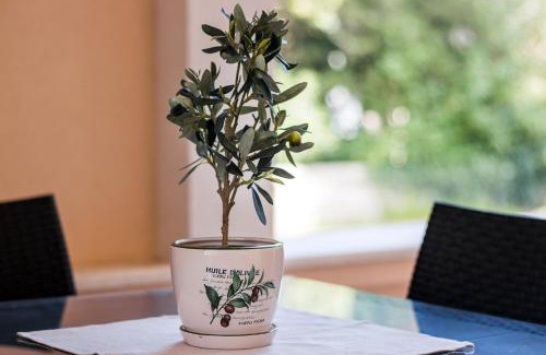 Artatore House | Apartments Pineta