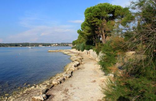 Dajla Apartment | Apartments with parking space Dajla, Novigrad - 6935
