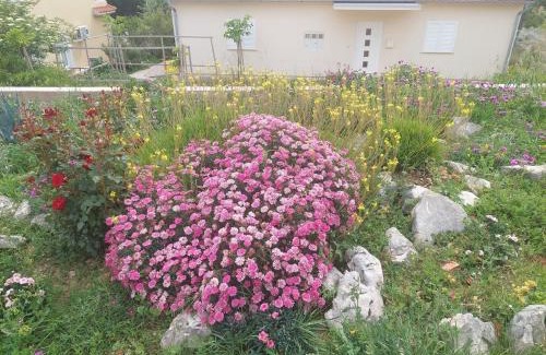 Barbat na Rabu Apartment | Apartments with parking space Barbat, Rab - 22863