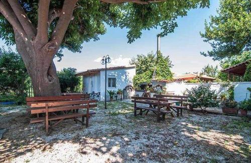Velika Apartment | Apartments Xara