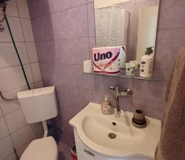Denovici Apartment | Apatments Stanojlovic Djenovic