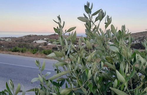 Platis Gialos Apartment | Apelagitis 2