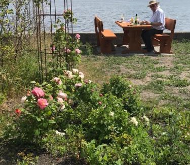 Stege Bed & Breakfast | Apothekergaarden Stege B&B