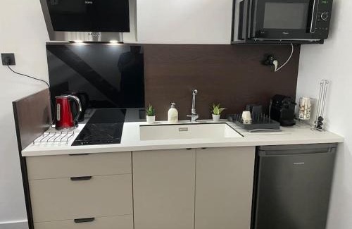 Decines-Charpieu Apartment | Appart dans villa EUREXPO LDLC ARENA GROUPAMA STADIUM
