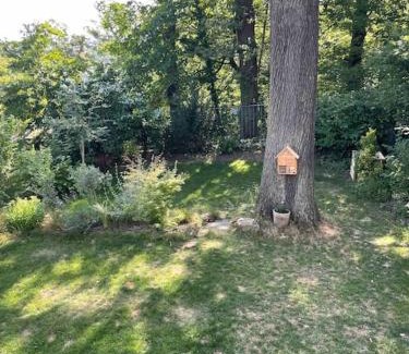 Le Plessis-Robinson Apartment | Appart très cosy en rez de jardin