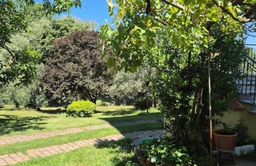 Palazzone Apartment | Appartamento Rosa blu