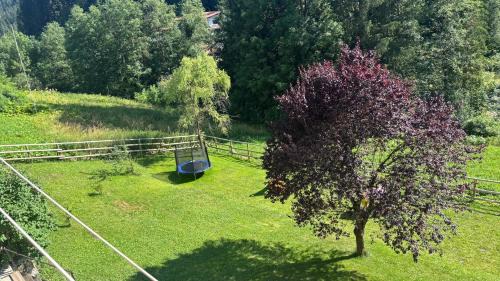 Santo Stefano di Cadore Apartment | Appartamento Elena