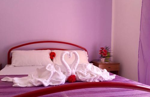 La Muddizza Apartment | Appartamenti Abbaidda 2