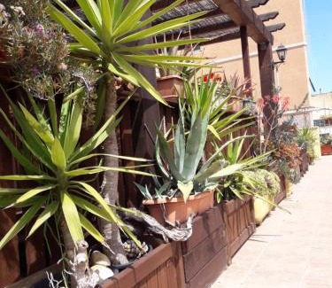 Rio Marina Apartment | Appartamenti Claudia Rio