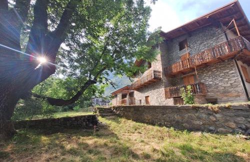 Acceglio Apartment | Appartamenti del GIGANTE FRASSINO