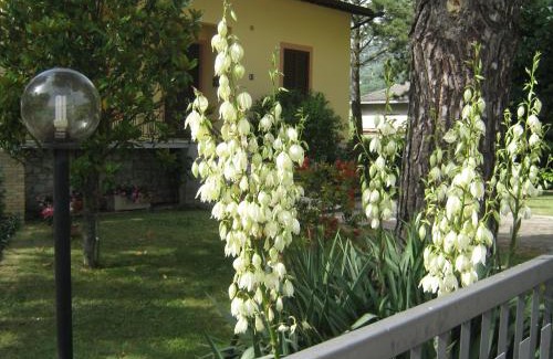 Rivotorto Apartment | Appartamenti Il Borgo