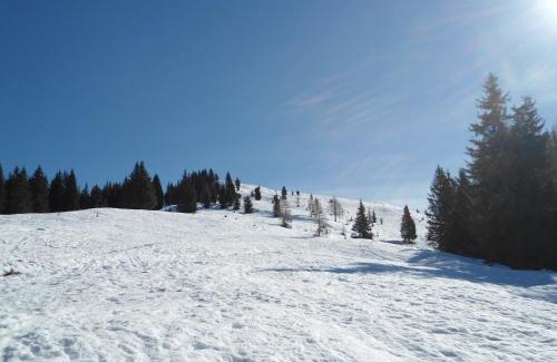 San Pietro di Cadore Apartment | Appartamenti Patrizia