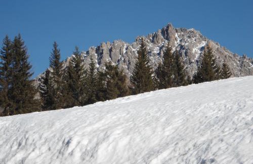 San Pietro di Cadore Apartment | Appartamenti Patrizia