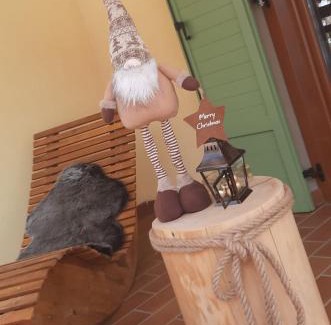 Fai della Paganella Apartment | Appartamenti Paolo