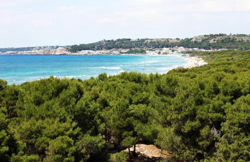 Rivabella Apartment | Appartamenti Rivabella D