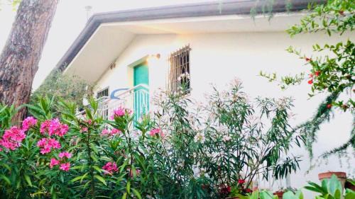 Alba Apartment | Appartamenti Villa Renata
