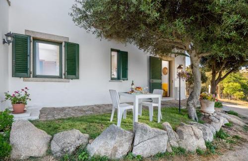 Arzachena Apartment | Appartamento Arzachena