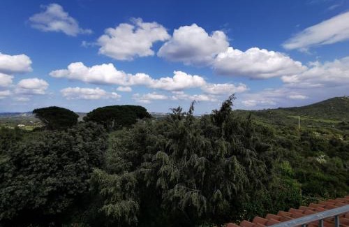 Palau Apartment | Appartamento "Casa SaRaSà"