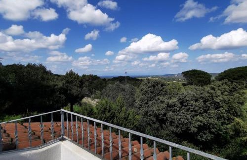 Palau Apartment | Appartamento "Casa SaRaSà"